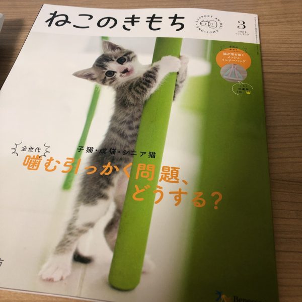 最も ねこのきもち7月号付録 付替パーツほわほわいもむし2本セット